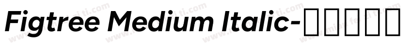 Figtree Medium Italic字体转换